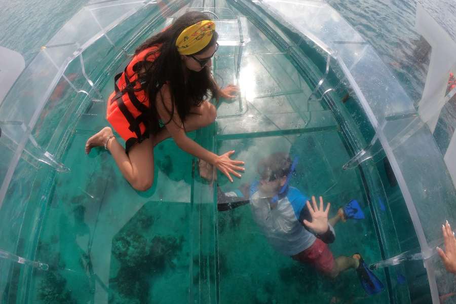 5 Uniquely Cozumel Shore Excursions