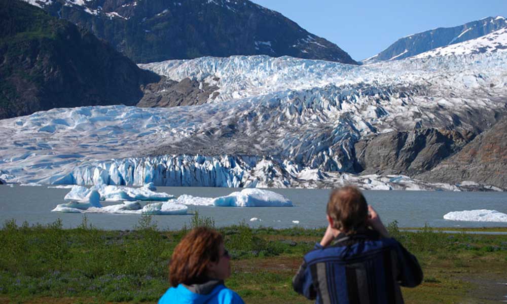 Whale Watching & Mendenhall Glacier Tour Tour Image 19