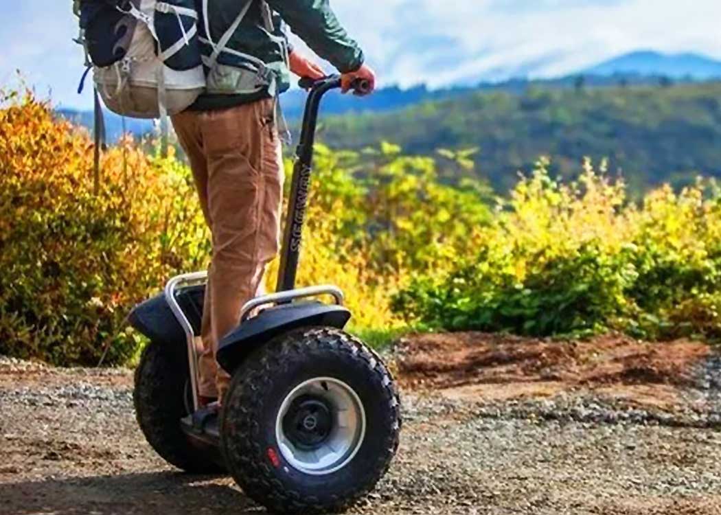 Coastal Rainforest Segway Experience Tour Image 3