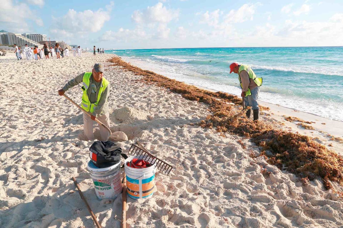 Cozumel Beach Conservation & Picnic image