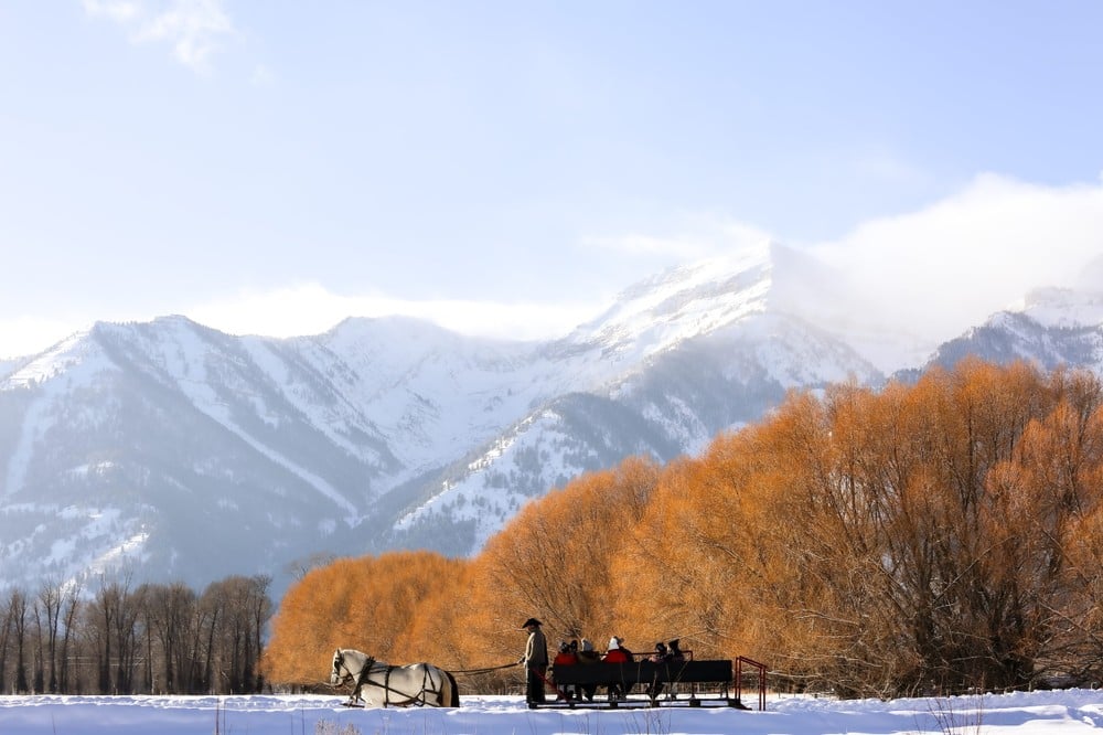 Snake River Ranch Sleigh Ride Tour Image 11