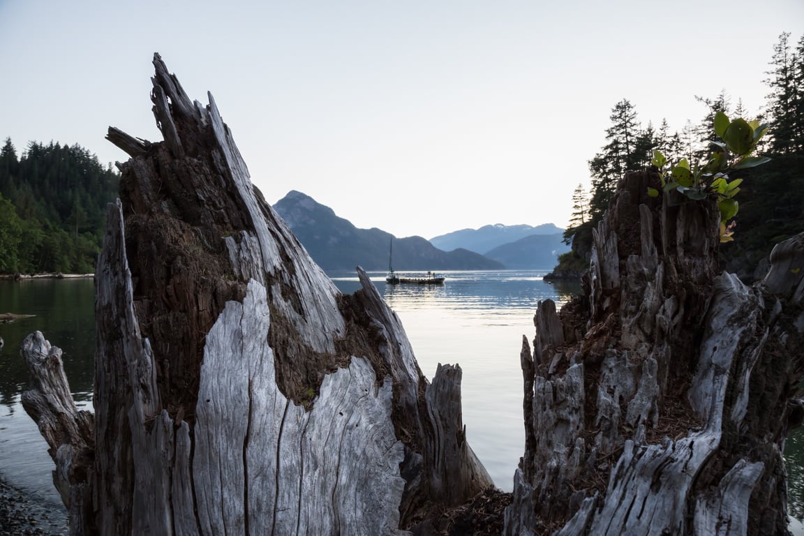 Our Local Expert's Guide to Resurrection Bay