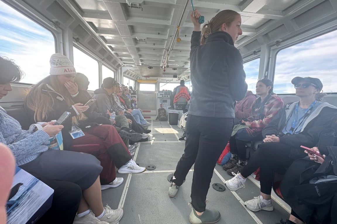 Guaranteed Whale Watching Catamaran Cruise Tour Image 3