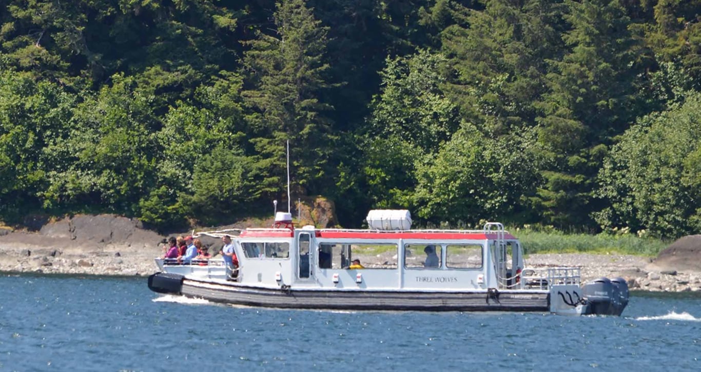Guaranteed Whale Watching Adventure Tour Image 4