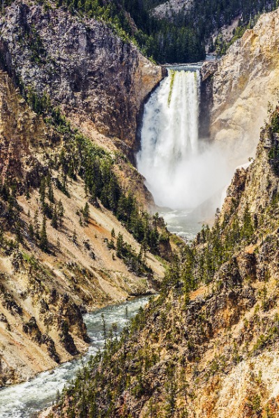 Logo of Yellowstone