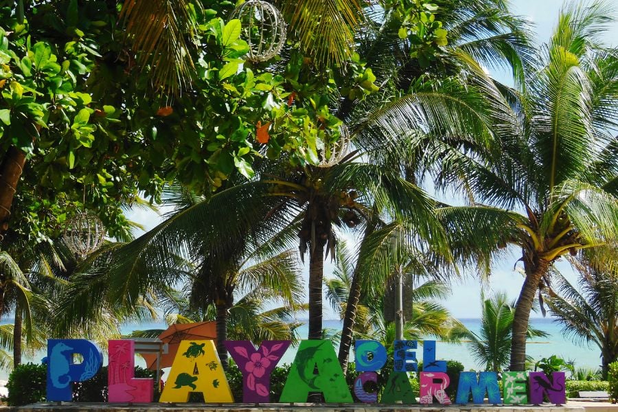 Colorful Playa del Carmen sign surrounded by palm trees and ocean views.