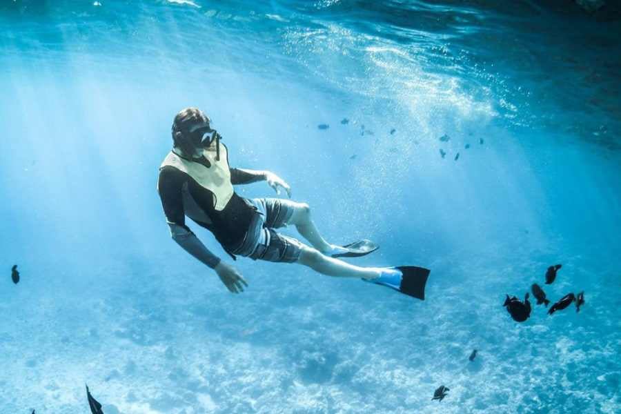 A snorkeler glides through crystal-clear waters, surrounded by tiny fish in an underwater paradise.