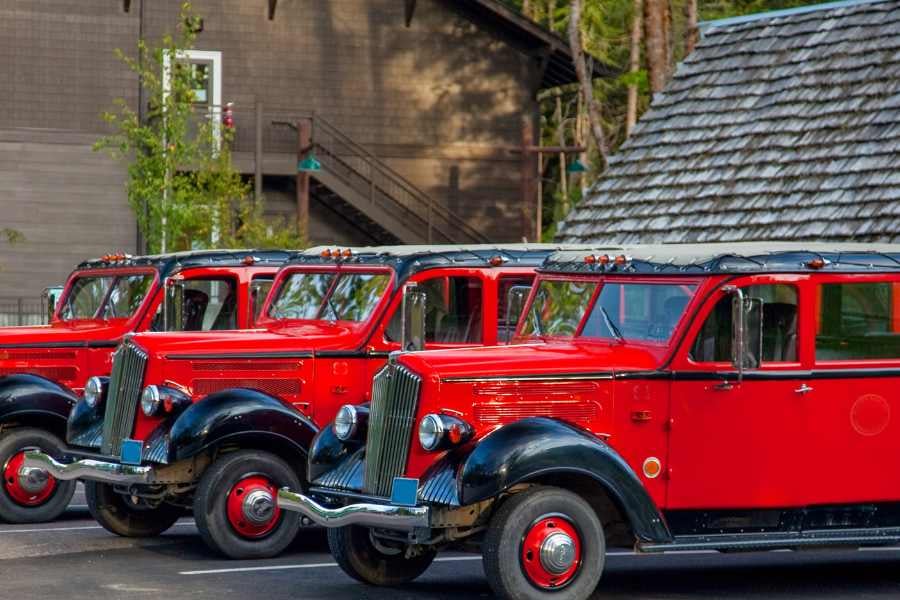 A fleet of vintage red tour buses, poised for scenic excursions.