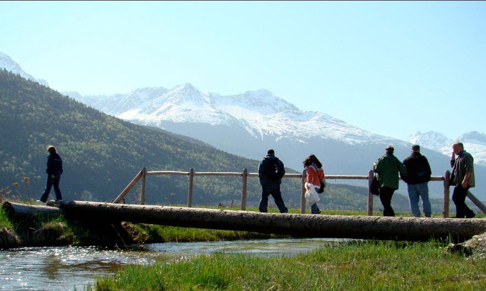 Skagway Sled Dog and Musher's Camp Tour Image 17
