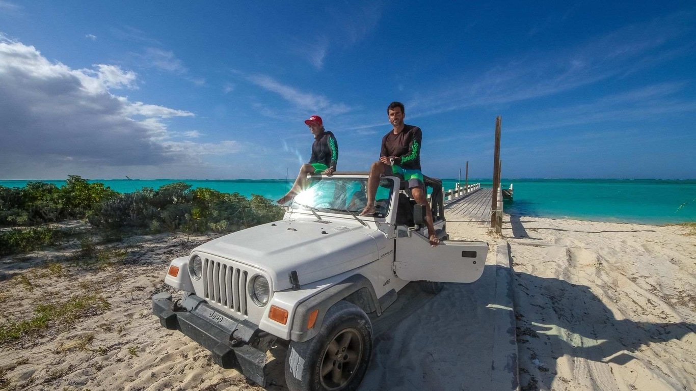 Cozumel Swim With Dolphins & Private Jeep Tour image