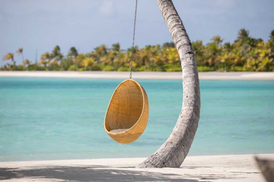 A peaceful beach hammock, perfect for relaxing under the palm trees and enjoying the ocean view.