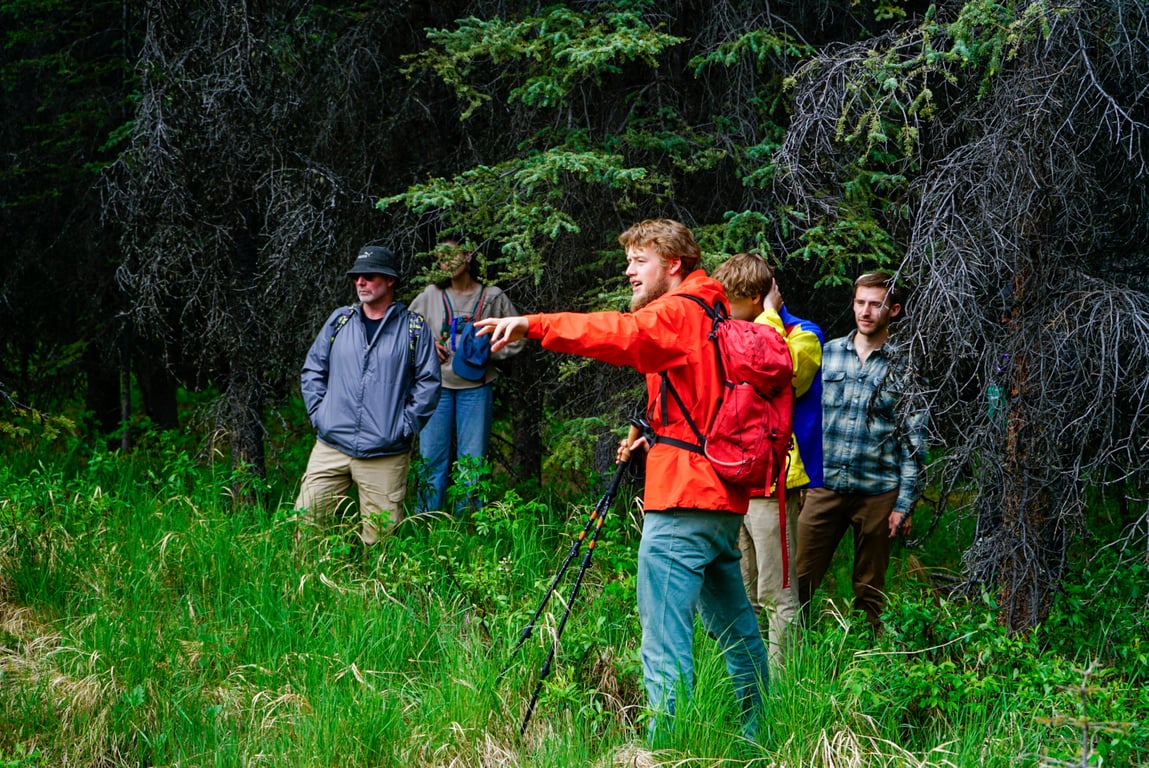 Denali Naturalist Walking Tour Tour Image 4