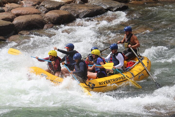 Lower Animas River Rafting - Half Day Tour Image 2