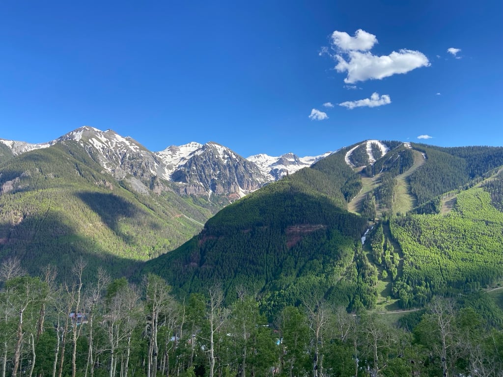 Telluride Hiking Tour - Half Day Tour Image 8