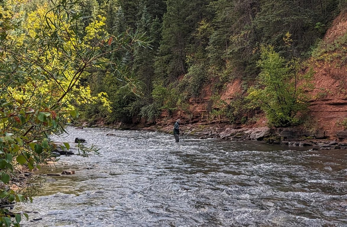Fly Fishing Walk Wade - Full Day Tour Image 9