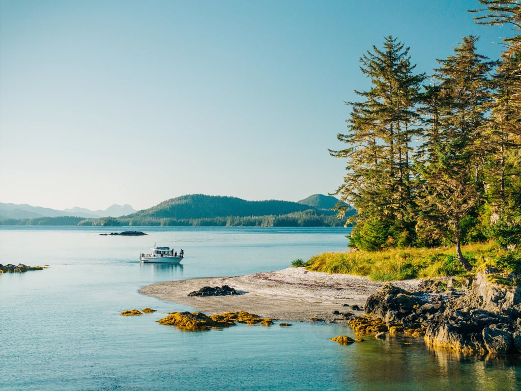 Private Islands of Wonder Remote Island & Wildlife Boat Adventure image