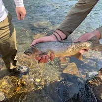 Unforgettable Fishing review image 0
