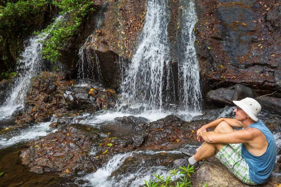 A man is looking at a beautiful view of a waterfall