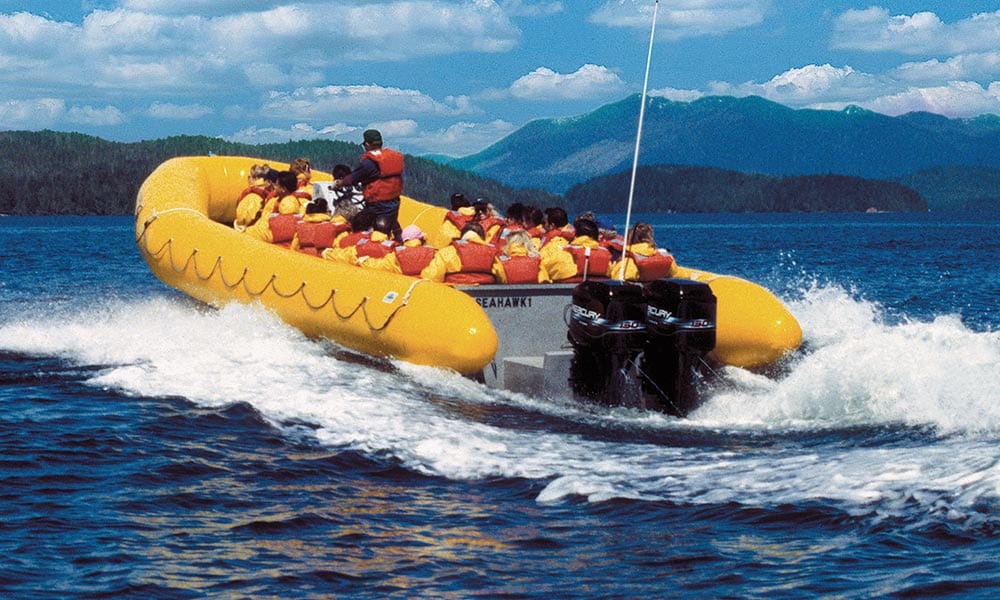Rainforest Island Adventure Tour Image 8