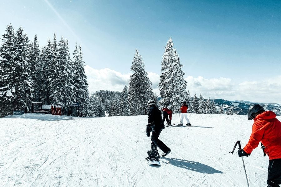 Friends snowboard and ski down a snowy slope surrounded by tall pine trees.
