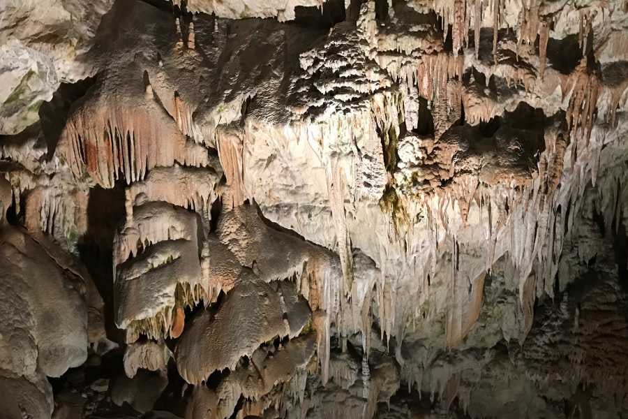 Conch Bar Caves