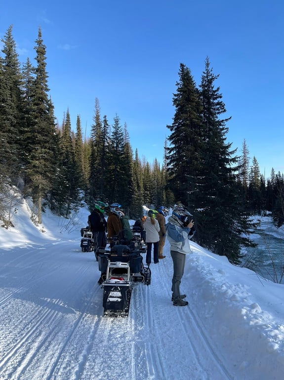 Fun Times on Snow Mobiles review image 0