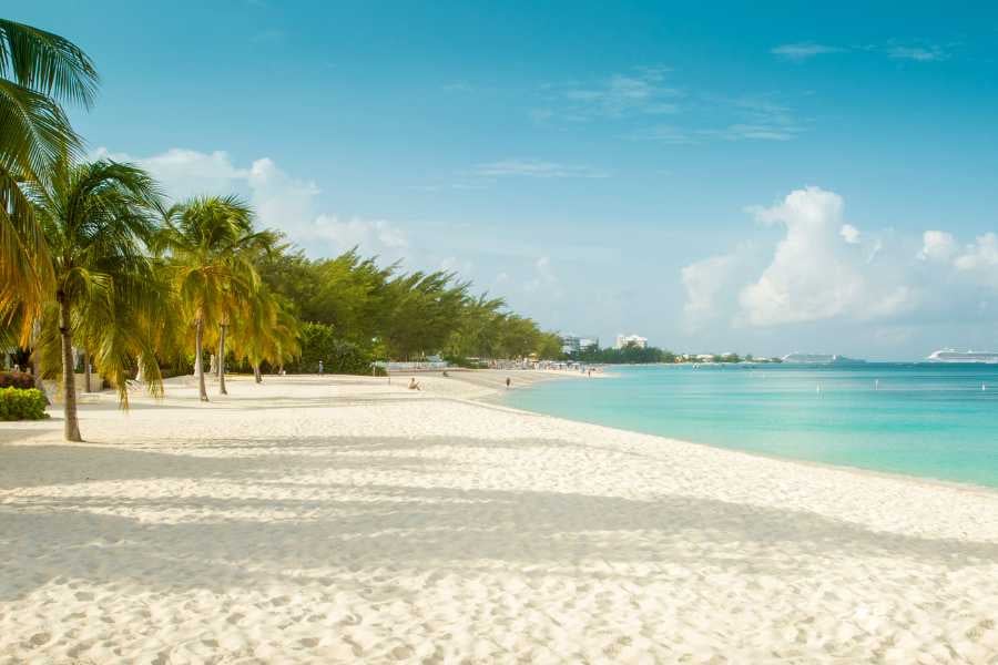 A beautiful beach with white sand, clear water, and tall palm trees.