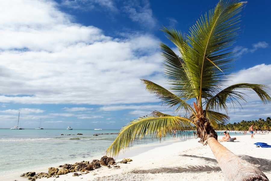 A palm tree leaning over a white sandy beach, with turquoise waters and distant sailboats on the horizon.