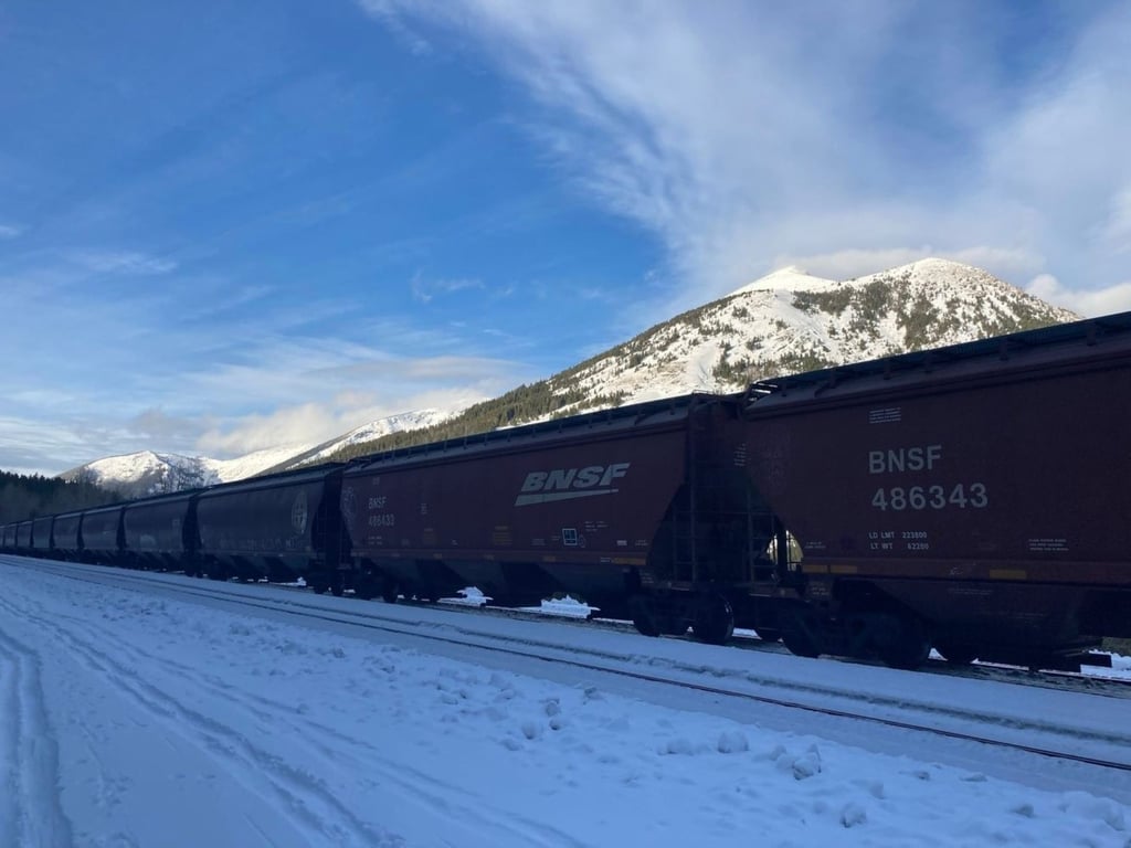 Glacier Park Sightseeing & Snowshoe Tour Tour Image 5